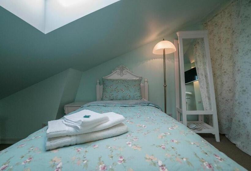 Habitaci�n Est�ndar Abuhardillada, Roze Villa