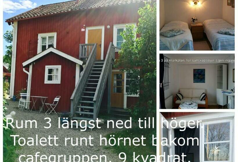 חדר סטנדרט חדר אמבטיה משותף, Stora Djulö Vandrarhem