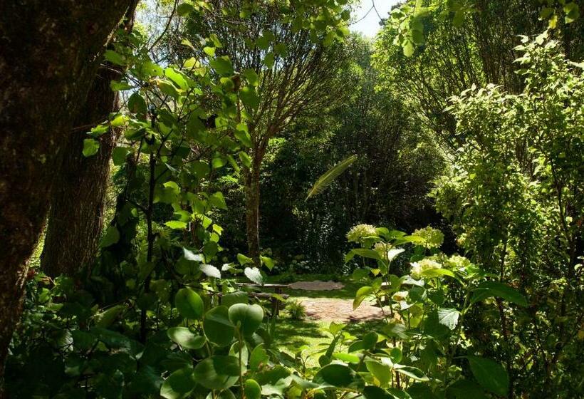 バルコニー付きスタンダードルーム, Blythcliffe