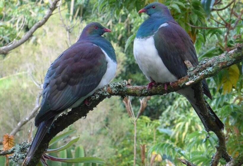 スタンダードルーム, Blythcliffe