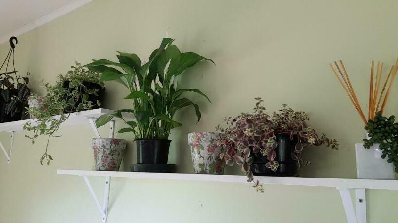 Дом 1 Спальня, Earthsounds Country Cottage