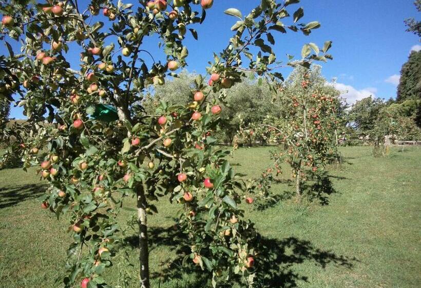 Дом 1 Спальня, Earthsounds Country Cottage