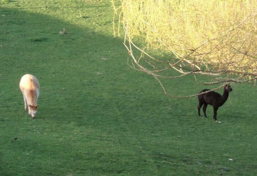 Дом 1 Спальня, Earthsounds Country Cottage