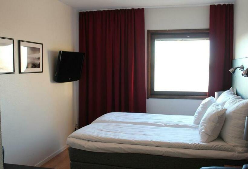 スタンダードルーム, L Wilhelmina