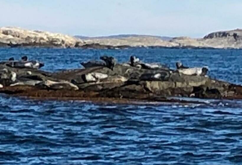 חדר סטנדרט לארבעה נוף לים, Marinan Richters