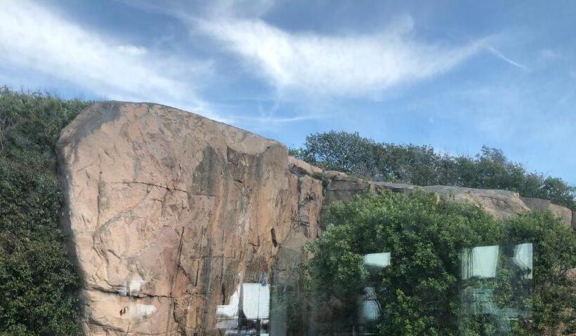 חדר סטנדרט, Marinan Richters