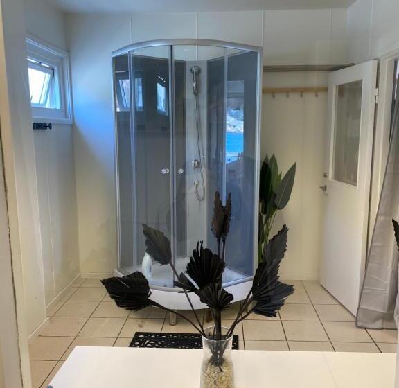 סטודיו משפחתי, Marinan Richters