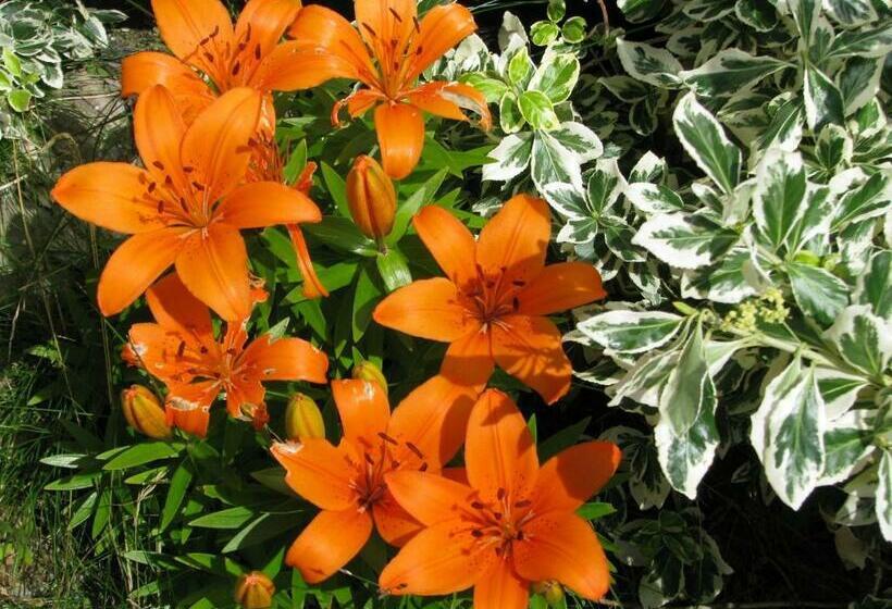 스탠다드 룸 공동 욕실, Landet Bed And Breakfast