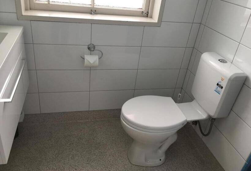 חדר משפחתי דלוקס, Motel On Carroll