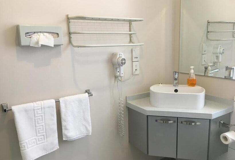 סוויטת 2 חדרי שינה, Motel On Carroll