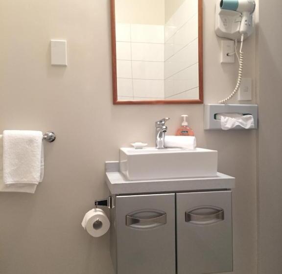 חדר סטנדרט, Motel On Carroll