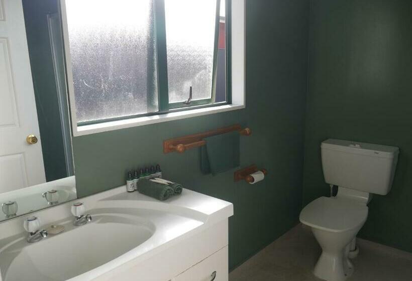 Студия Стандарт, Rainforest Motel