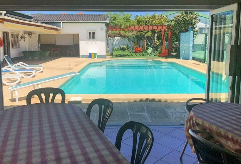 스탠다드 스튜디오, Manawa Camp