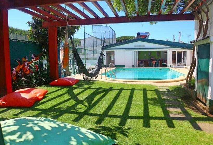 수피리어 룸, Manawa Camp