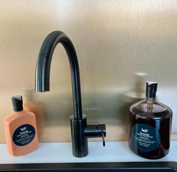 豪华房间, Naar Ineke