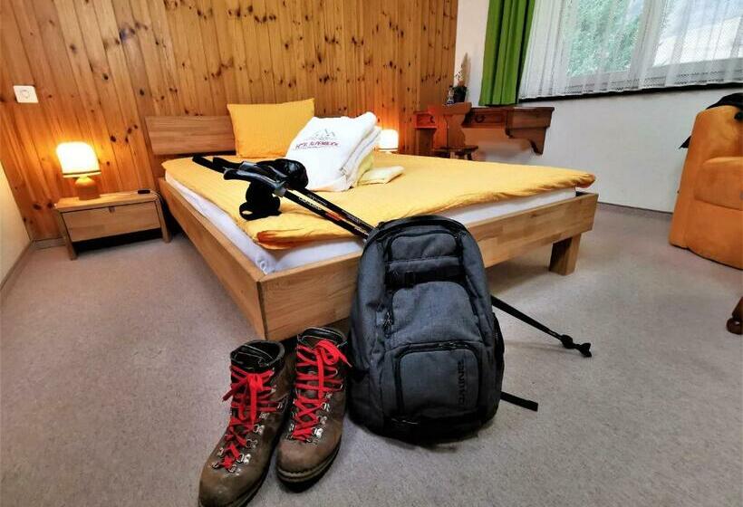 غرفة قياسية فردية, Alpenblick Leukerbad Therme