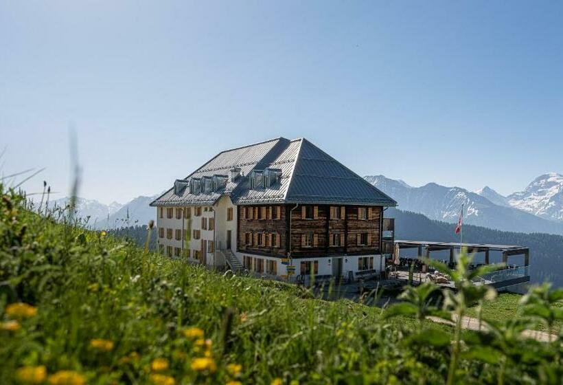 标准单人间, Belalp