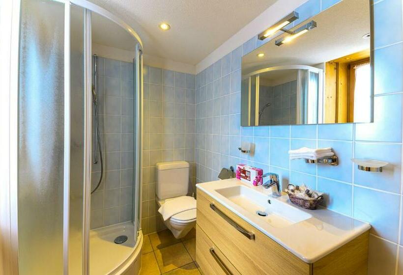 스탠다드 룸, Centrale, Typically Swiss