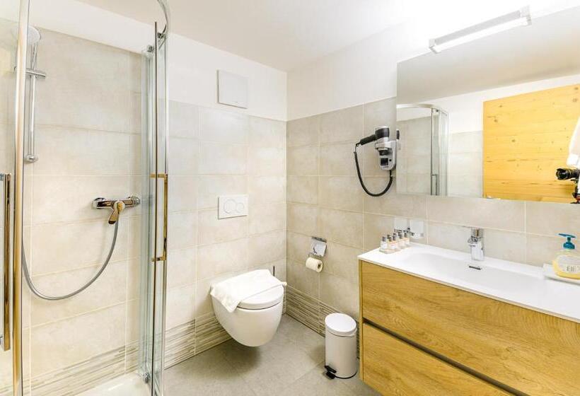 חדר משפתחתי סופריור, Centrale, Typically Swiss