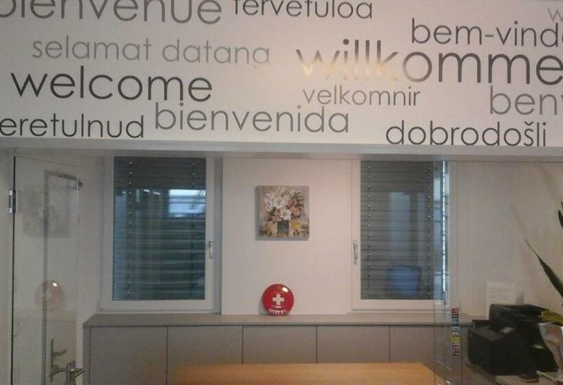 Номер Superior Одноместный, Flawil