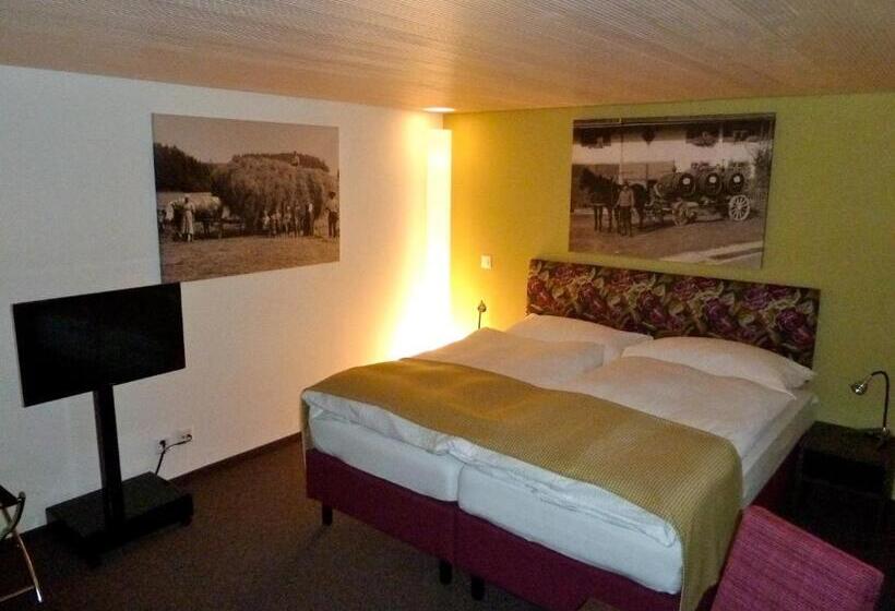 エコノミーワンルーム, Gasthaus Sternen