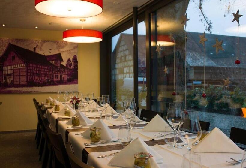 デラックススタジオ, Gasthaus Sternen