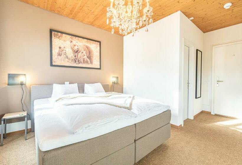 스탠다드 룸, Gasthof Bären