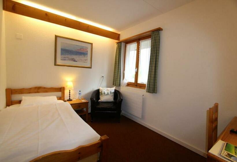 غرفة قياسية فردية, Roc Et Neige