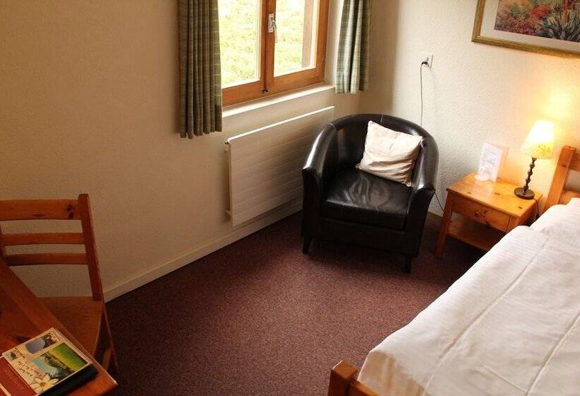 غرفة قياسية فردية, Roc Et Neige