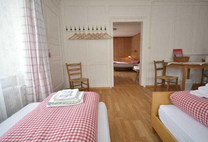 חדר סטנדרט חדר אמבטיה משותף, Schöntal