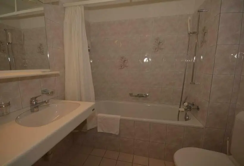 Standard-huone, Schöntal