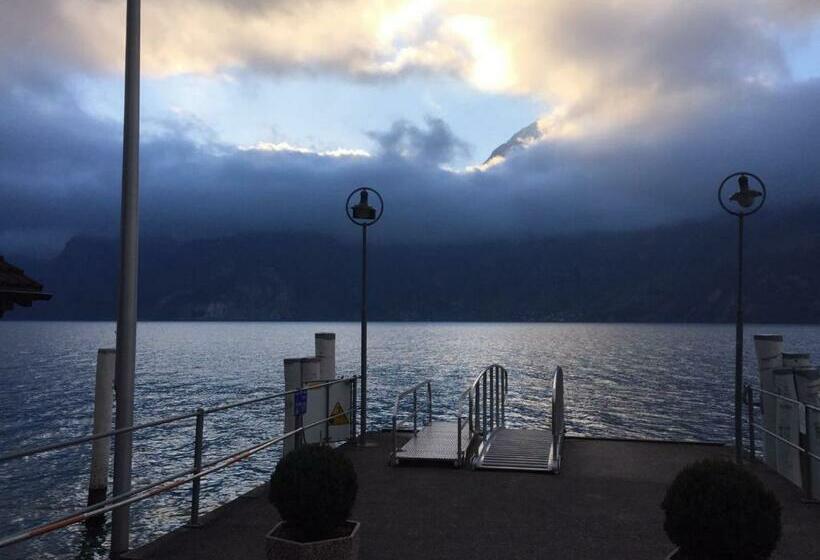 Номер Стандарт, Sternen