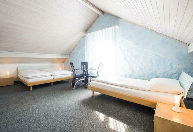 标准单人间, Sternen