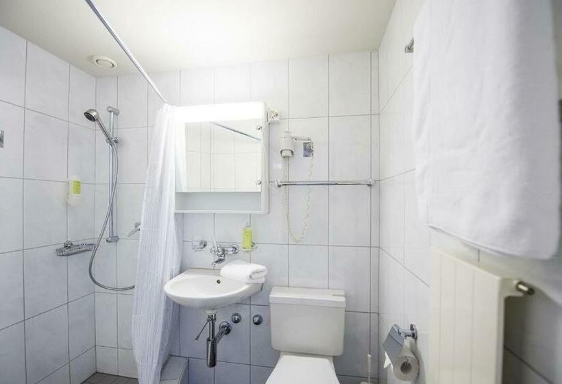 标准单人间, Sternen