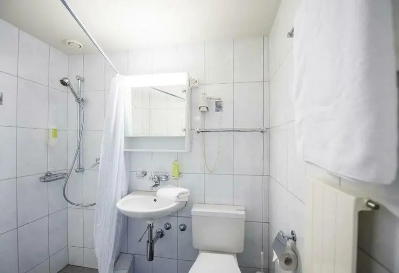 Standard Yhden Hengen Huone, Sternen