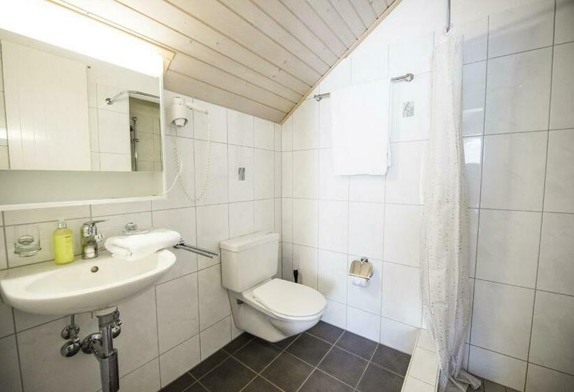 豪华三人间, Sternen