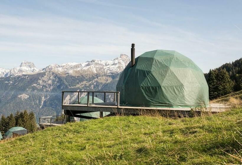 Номер Стандарт, Whitepod Original