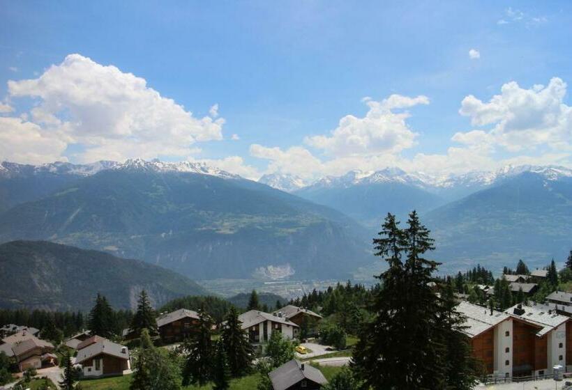 חדר סטנדרט יחיד, Zodiaque