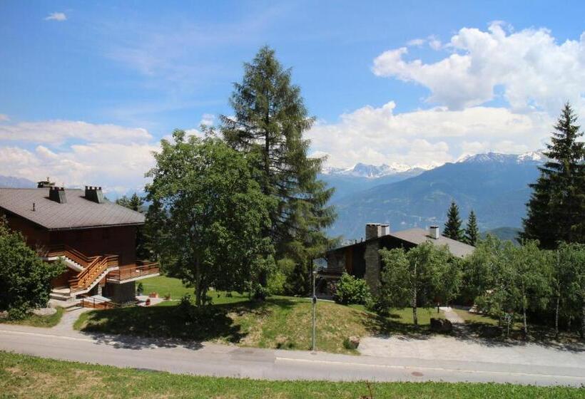 סוויטה, Zodiaque