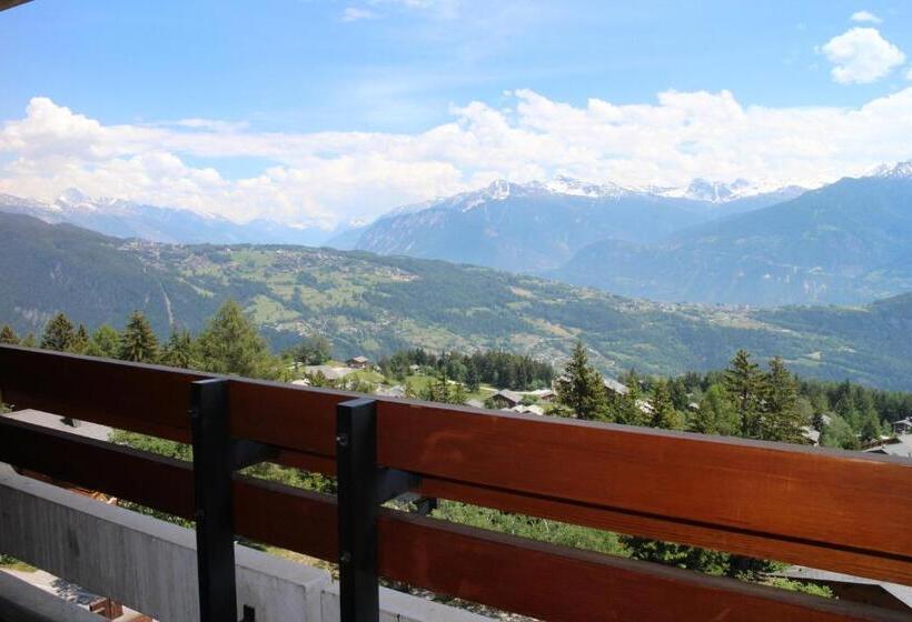 חדר סטנדרט לארבעה, Zodiaque