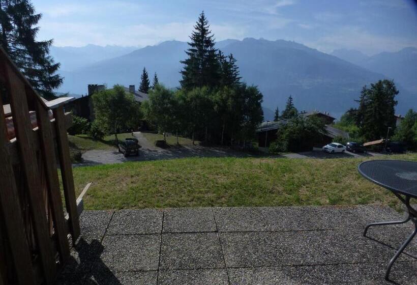 חדר סטנדרט לארבעה, Zodiaque