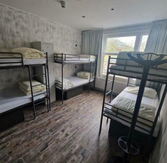 تختخواب در اتاق مشترک, Amigo Hostel