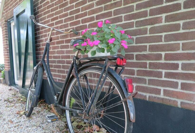 اتاق سوپریور, B&b De Willemshoeve