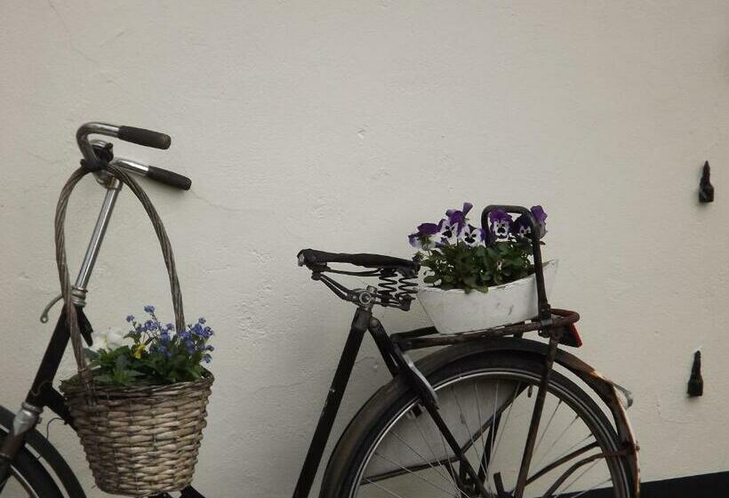 اتاق سوپریور, B&b De Willemshoeve