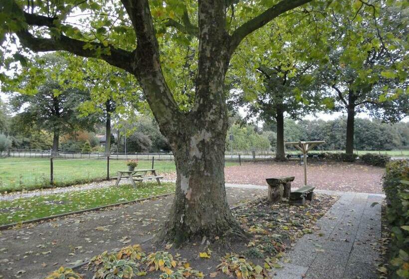 اتاق سوپریور, B&b De Willemshoeve