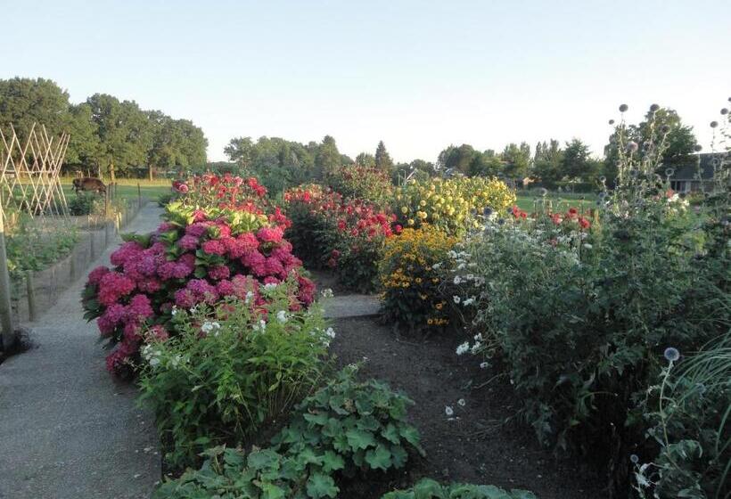 اتاق سوپریور, B&b De Willemshoeve