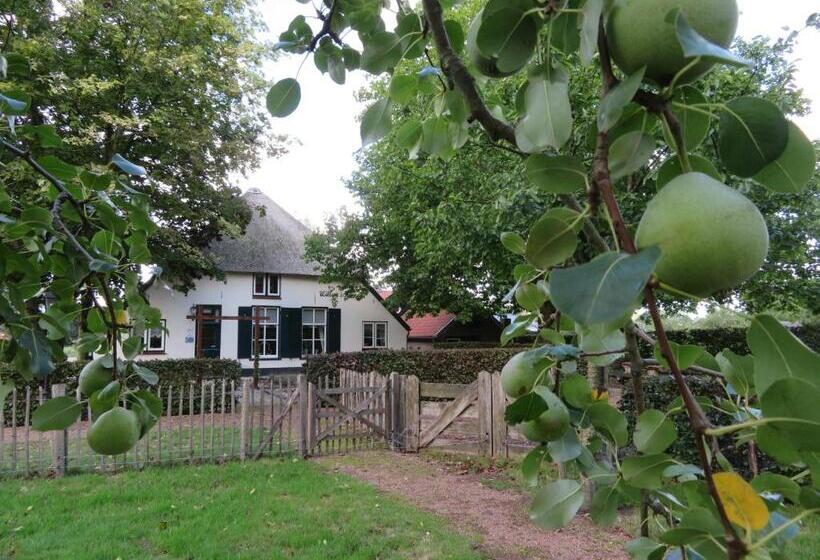 اتاق لوکس, B&b De Willemshoeve