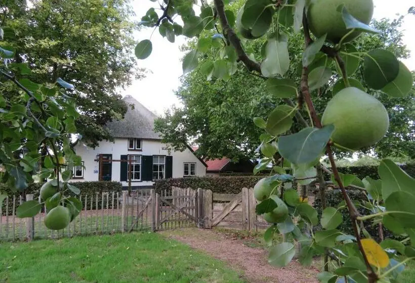 デラックスルーム, B&b De Willemshoeve