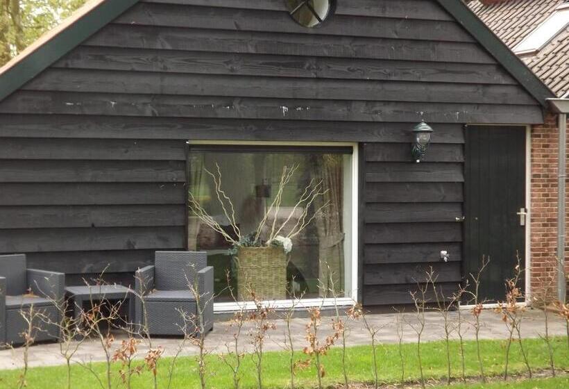 اتاق لوکس, B&b De Willemshoeve