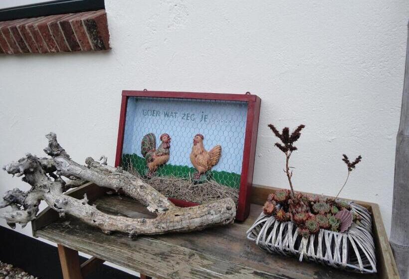 اتاق لوکس, B&b De Willemshoeve